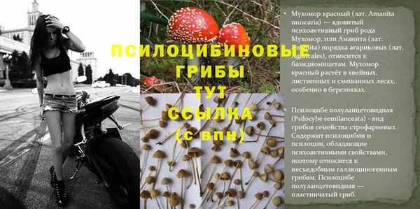 МДМА Елабуга