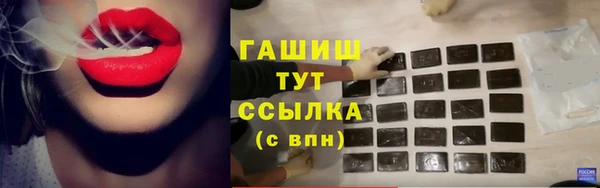 шишки Елизово