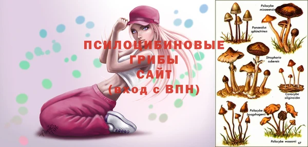 герыч Алзамай