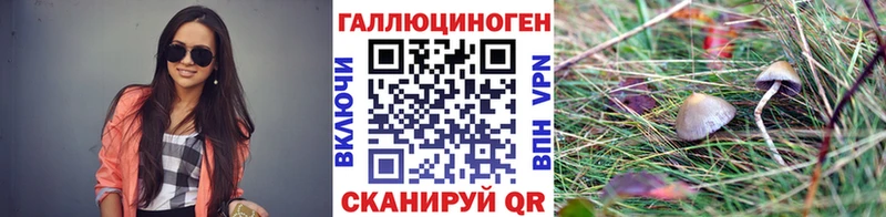 Псилоцибиновые грибы мицелий  Камбарка 